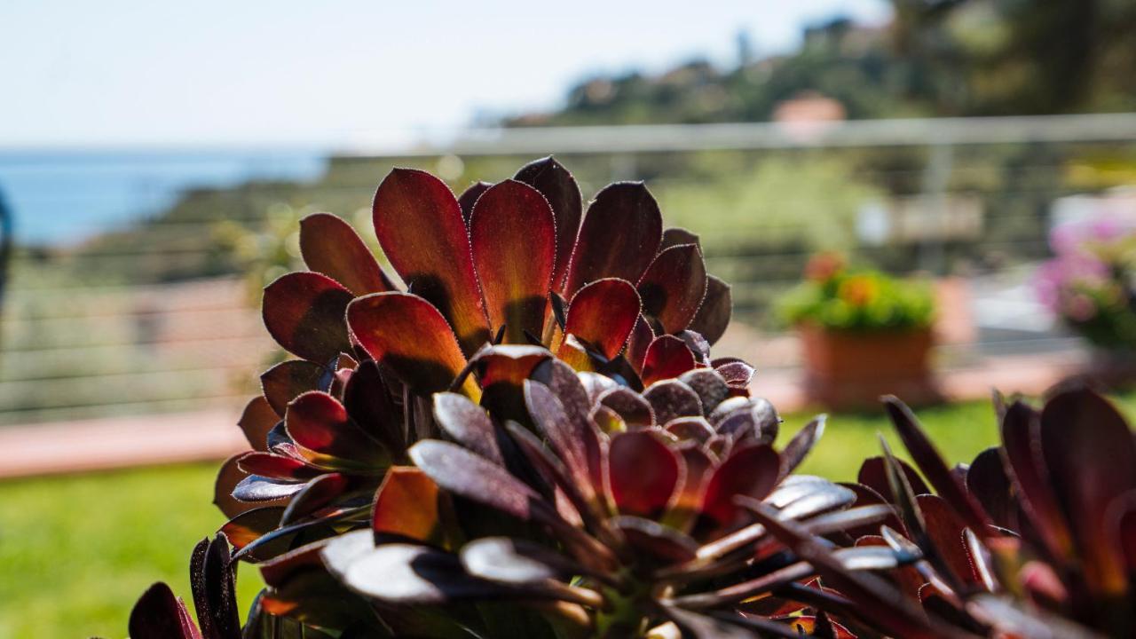 Marina dʼAndoraItalianway - Delle Ginestre 28公寓 外观 照片